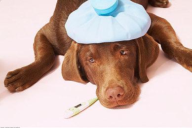 《魔法师西蒙：起源》跳票至2024年 登陆全平台